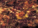 Multi-Colored Faux Fur Fabric