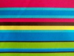 Striped Canvas Fabric