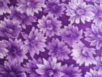 Purple Floral Cotton Fabric