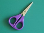 Trimming Scissors