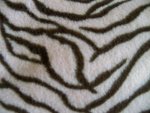 Tiger Print Polyester Fabric